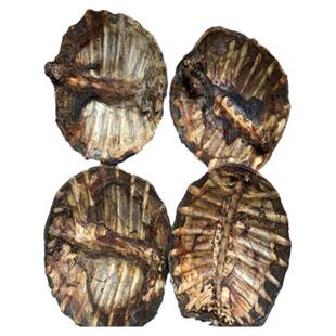 血鳖甲 中药材生鳖甲 血鳖甲 甲鱼壳  血甲 鳖甲壳 500克包邮