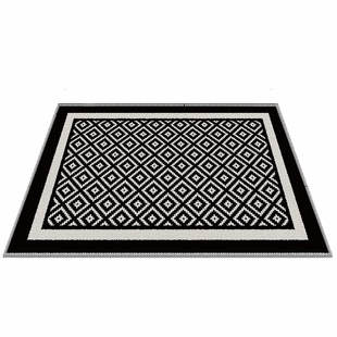 现代轻奢高级感入户门地垫门内玄关地毯进门口防滑脚垫可定制尺寸