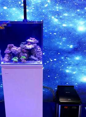 博宇冷水机LS水族箱降温机鱼缸制冷器淡水海水鱼冷暖水机制冷