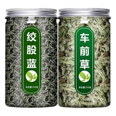 绞股蓝车前草野生干货官方旗舰店中药材新鲜和泡水喝的功效与作用