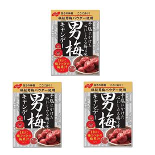 日本进口NOBEL诺贝尔男梅糖紫苏梅子味润喉糖硬糖休闲糖果零食