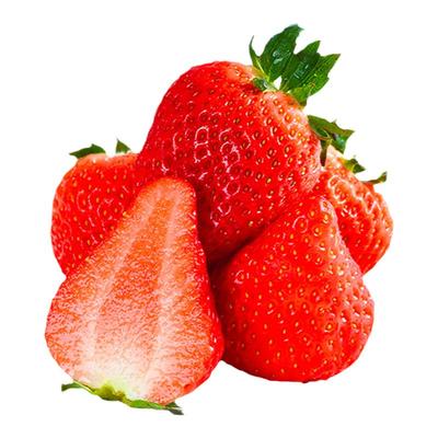 丹东草莓产地直发新鲜采摘