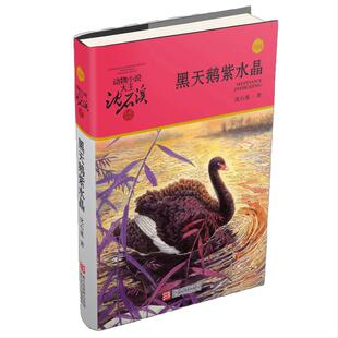当当网 黑天鹅紫水晶升级版动物小说大王沈石溪品藏书系沈石溪动物小说儿童文学书9-11-12-14岁小学生3-5-6年级课外书正版青少年读