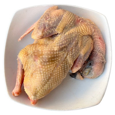 农家新鲜现杀老鸽子纯粮喂养