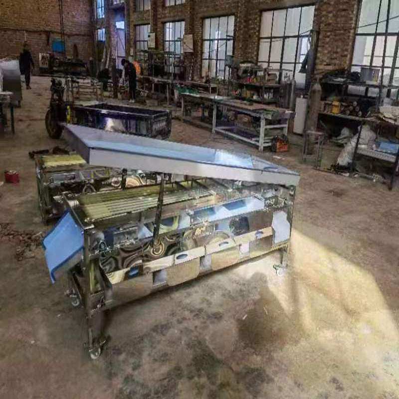 皮带式选果机 小型水果分级机 贡柑筛选机 沙果分拣机 果蔬分选机