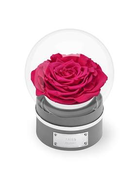 ROSEONLY星座永生玫瑰花礼盒礼物