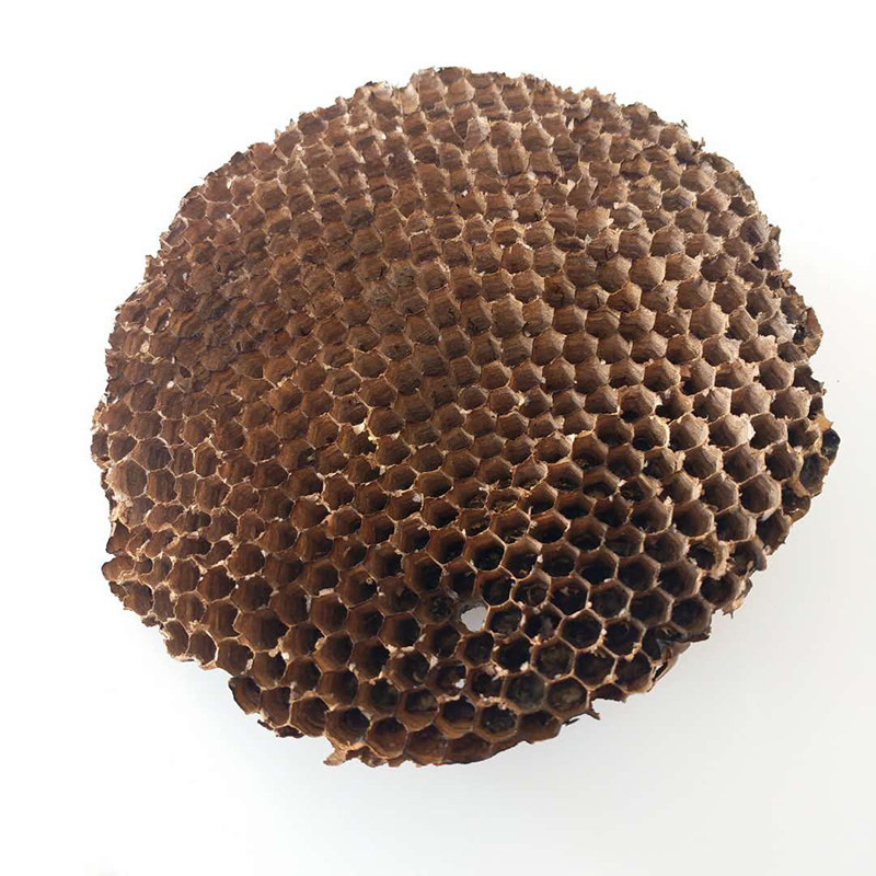 天然露蜂房正品野生马蜂窝巢煮水牙疼中药材店铺免费打粉500g包邮