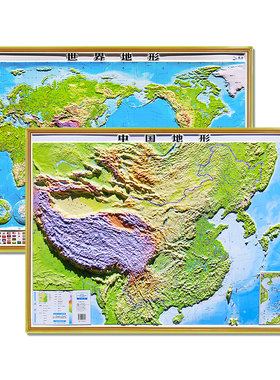 中国和世界地图3D立体精雕版2张