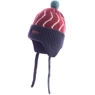 韩版ins儿童帽子秋冬季有内里保暖针织毛线帽男女孩宝宝护耳童帽