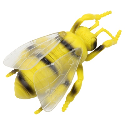 蚂蚁知了蜻蜓螳螂小蜜蜂昆虫模型