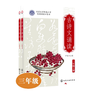 古诗文诵读 三年级 上册 下册  6-12岁儿童小升初语文古诗词课外读本 经典古诗词文言文欣赏诵读 北大附小学生人手一册古诗文读本