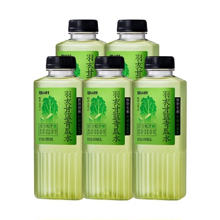 包邮碧山村无糖茶饮料植物饮品羽衣甘蓝青瓜普洱黑豆乌龙黄芪水