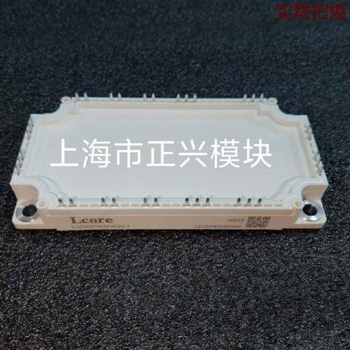 溢价-LCG75PIS120E2B LCG100PIS120E2B