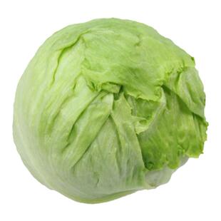 新鲜球生菜2斤-20斤包邮 凉拌沙拉菜 圆生菜 西生菜 产地直销
