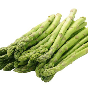 芦笋苗根紫色芦笋苗种四季蔬菜苗盆栽根苗种阳台庭院种植多年根生