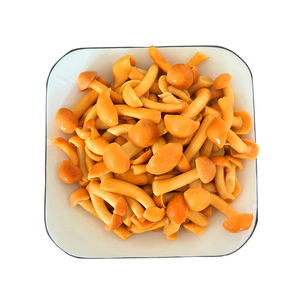 滑子菇新鲜口感涮炒拌均可