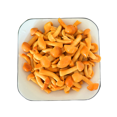 滑子菇新鲜口感涮炒拌均可