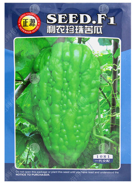 珍珠高产疙瘩春季蔬菜苗大顶苦瓜