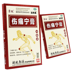 景致康源弹力王伤痛宁膏10片活血散瘀 消肿止痛 关节扭伤肌肉拉伤