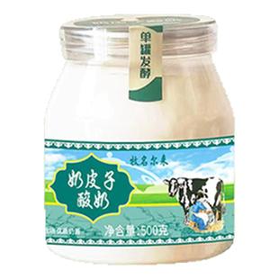 奶皮子酸奶内蒙古特产奶制品低温生牛乳早餐奶皮老酸奶菌种