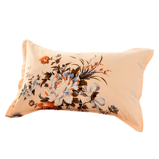 老式怀旧国民枕套100全棉一对装纯棉罩老上海粗布复古印花枕头套