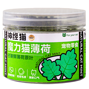 宠物猫咪猫薄荷零食化毛助排毛球原味薄荷草解闷零食玩具布偶英短