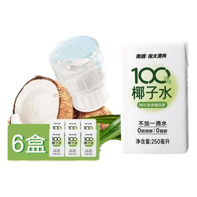 南国海南椰子水6盒/箱