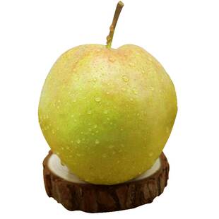 山西隰县玉露香梨新鲜水果梨子脆甜10斤整箱 临汾特产 酥梨