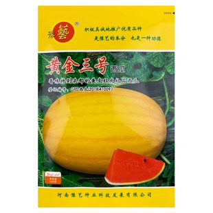 黄金三号西瓜种子黄皮红肉春季播早熟春夏秋超甜红壤西瓜种籽四季