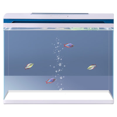超白玻璃鱼缸过滤制氧一体机客厅中小型免换水生态家用造景水族箱