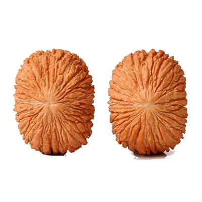 红皮把玩金丝猴头福瑞堂