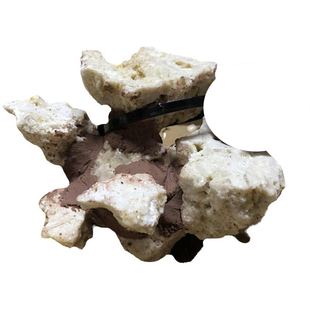 海缸成品造景石 奶嘴窝 葵巢 死石爪哇石造景 图选 可定制