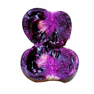 寿光黑紫色黑玫瑰番茄苗秧爆甜多汁圣女果小西红柿四季盆栽种子