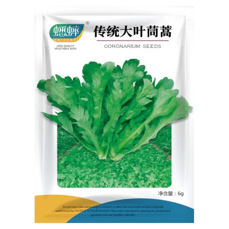 传统大叶茼蒿菜种籽茼蒿菜种子大全秋冬季蔬菜茼蒿种籽四季菜种孑