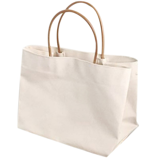 2025韩国东大门同款简约大容量帆布包ins爆款购物包手提包女大包