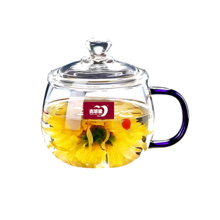 高硼硅玻璃杯茶杯带把手家用耐高温带盖泡茶杯男女高颜值喝水杯子