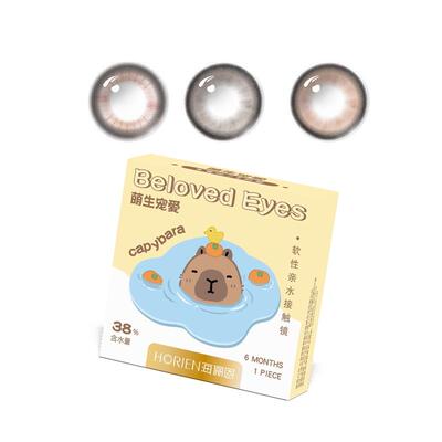 海俪恩九州诗经美瞳半年抛2片装彩色隐形眼镜大小直径棕国风自然
