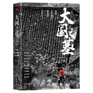 大国之基 中国乡村振兴诸问题 贺雪峰 三农问题全面论述乡村振兴战略的理论与实践 经济学书籍经济学理论 东方出版社9787520711203