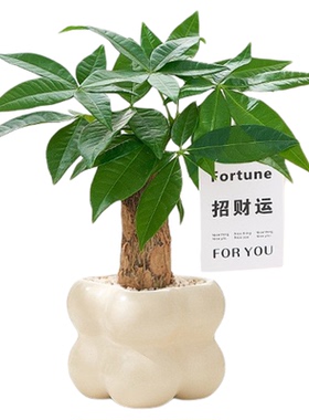 招财猫摆件轻奢高档入户玄关