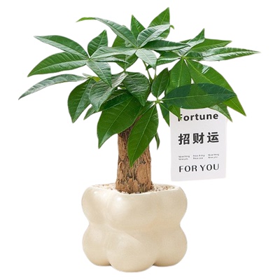 招财猫摆件轻奢高档入户玄关