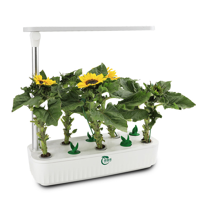 佰植乐智能花盆无土水培种植机灯光花槽植物花卉懒人栽培月季绿植