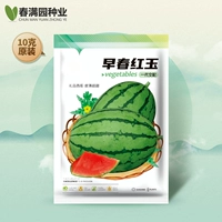 Ранняя весна красная нефрита арбуза 1 грамм (около 20 капсул) (около 20 капсул)