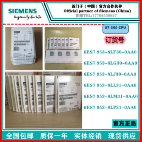 议价西门子MMC存储卡6ES7 953/6ES7953-8LF20/8LG20/8LJ30/8LL31-