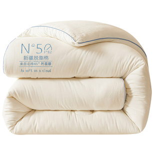 A双层纱脱脂棉花里外全棉新疆棉花被子冬被纯棉花被春秋棉絮被芯