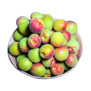 白叶梅福建高山胭脂红梅鲜果新鲜现摘黄梅胭脂梅诏安青梅酒梅子露