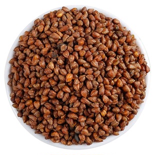 农科院官方旗舰店正品黑苦荞茶荞麦浓茶大麦四川大凉山特级苦芥茶