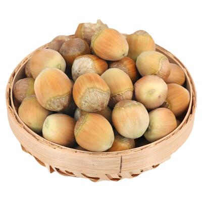 自家榛子园当天发货带绿皮榛子