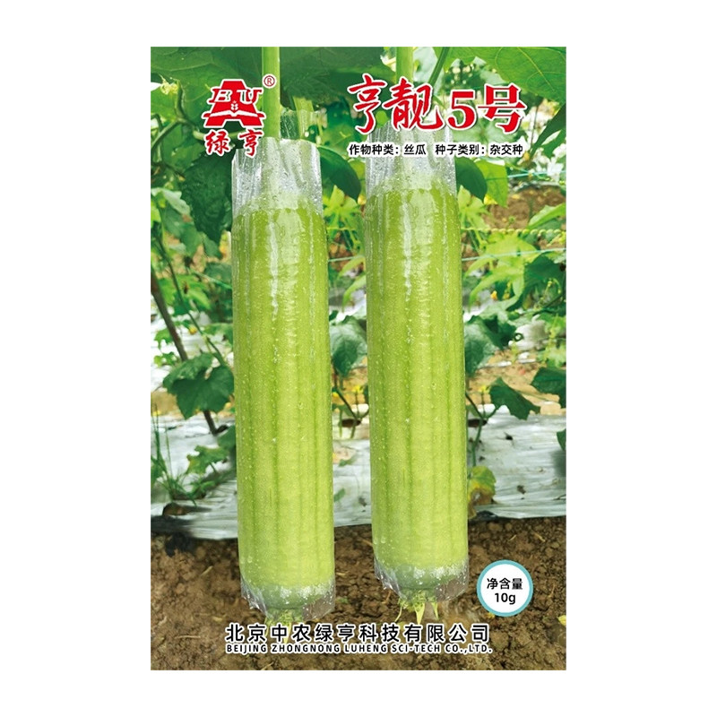 农户专用早熟果多白皮肉丝瓜种子