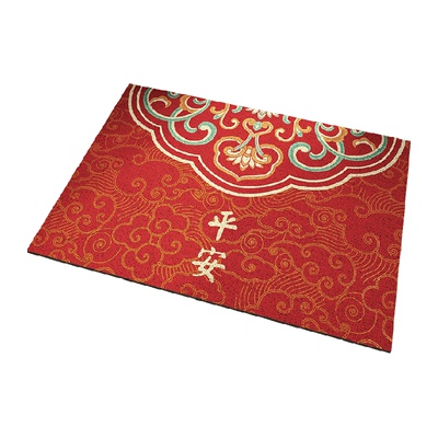 丝圈进门防滑地垫进门口除尘脚垫