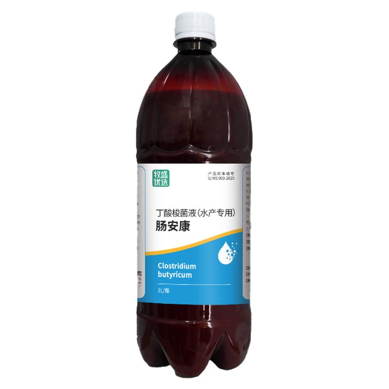 牧盛优选丁酸梭菌液水产养殖专用
